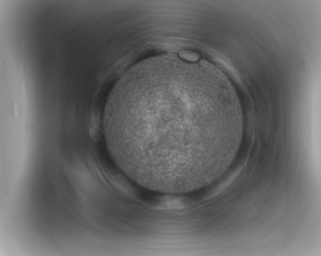 X0000115550073200911131614