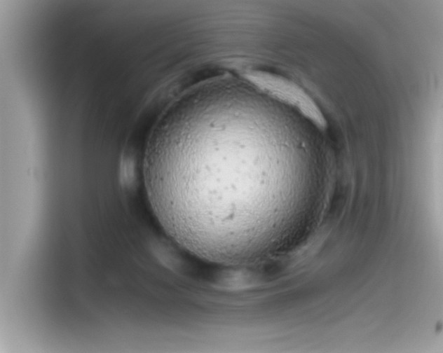 X0000115550074200911131614