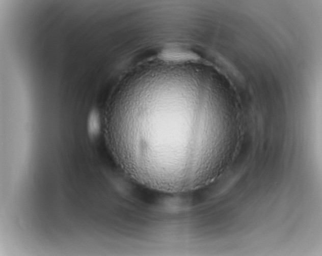 X0000115550075200911131614