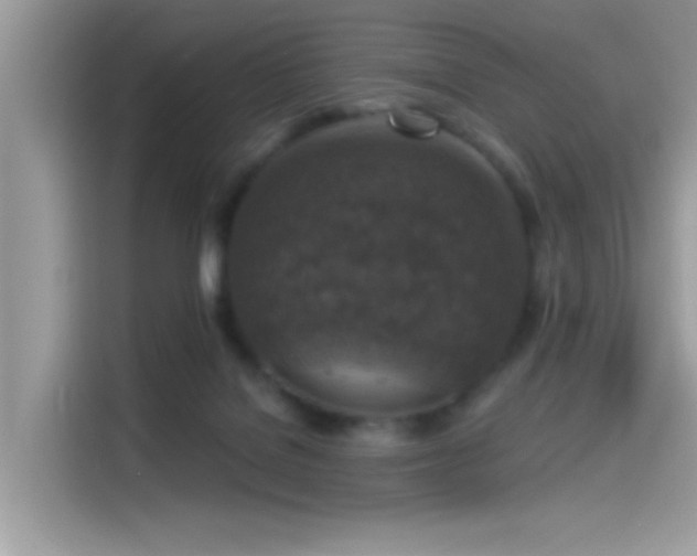 X0000115550076200911131614