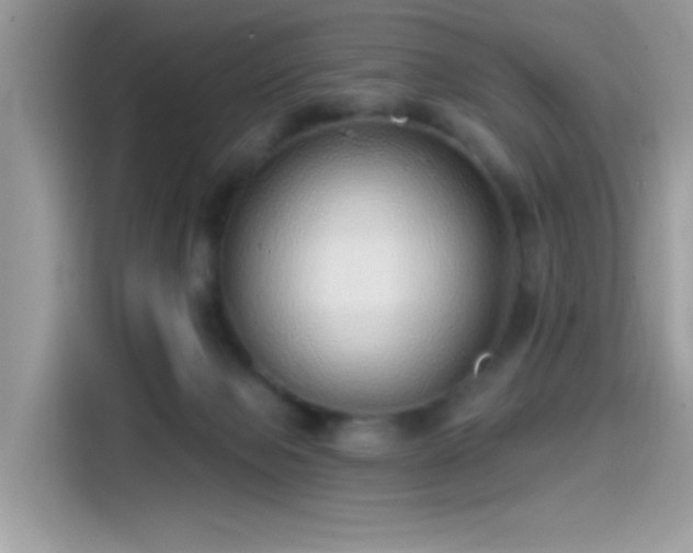 X0000115550077200911131614