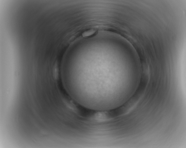 X0000115550080200911131614