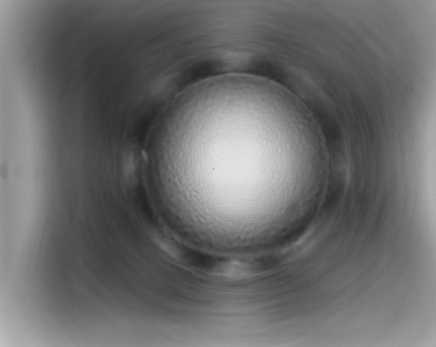 X0000115550082200911131614