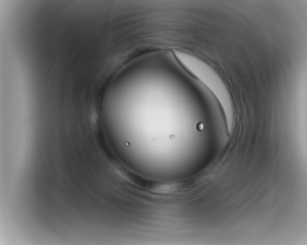 X0000115550084200911131614