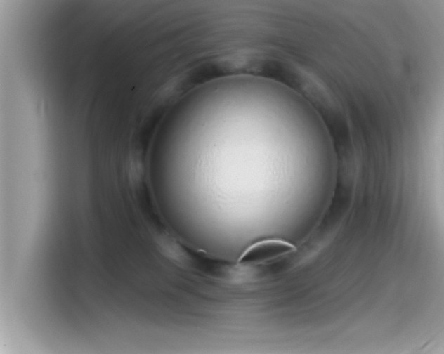 X0000115550085200911131614