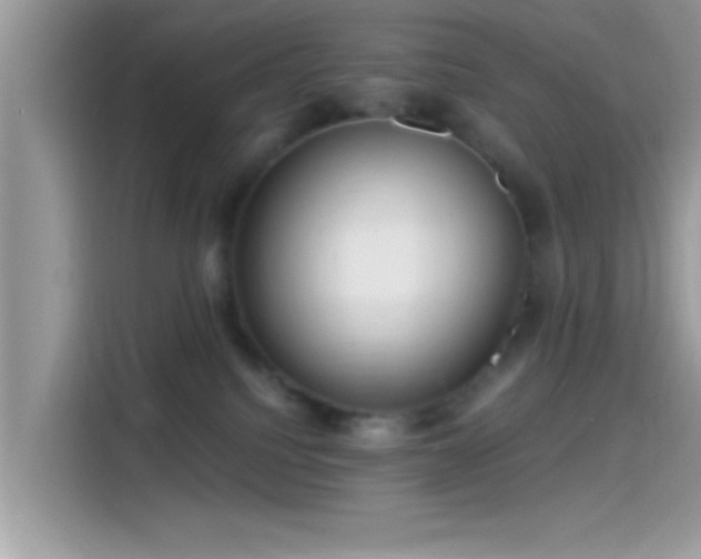 X0000115550088200911131614