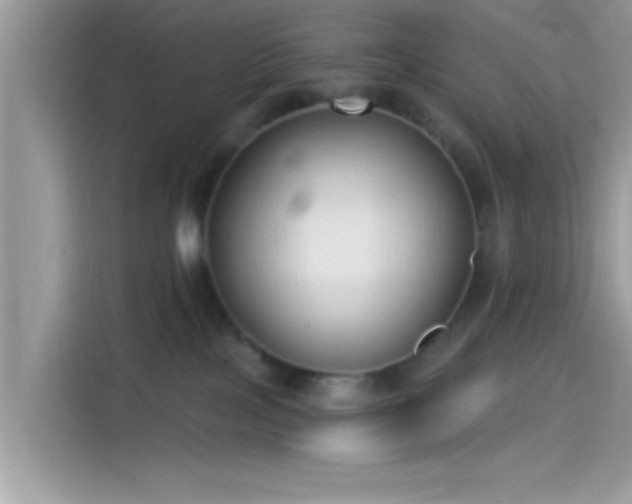 X0000115550089200911131614