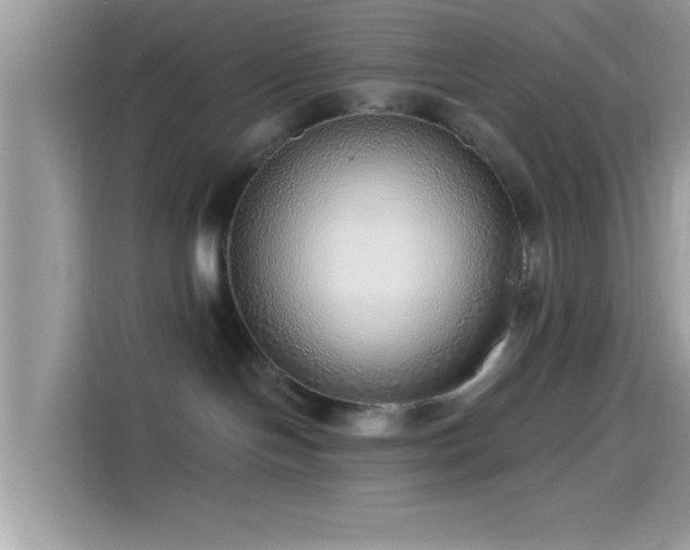 X0000115550094200911131614