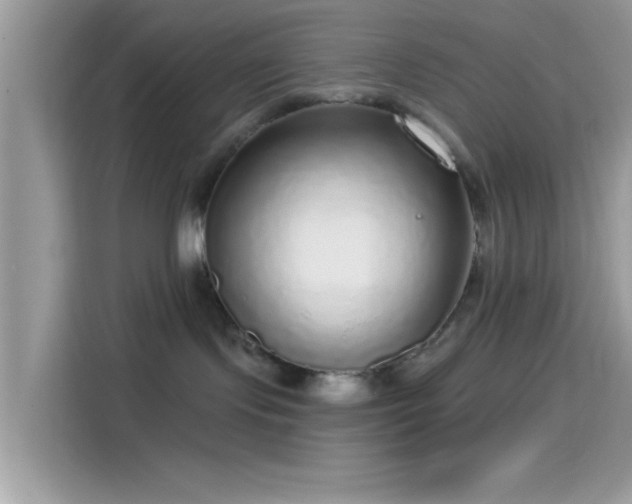 X0000115550095200911131614