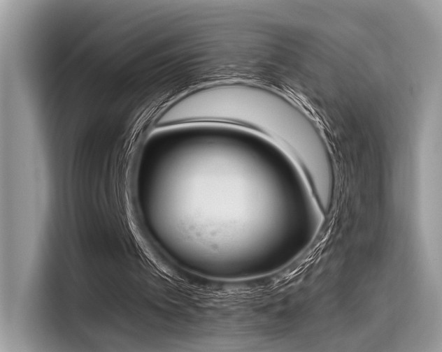 X0000115550097200911131614