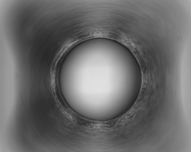 X0000115550098200911131614