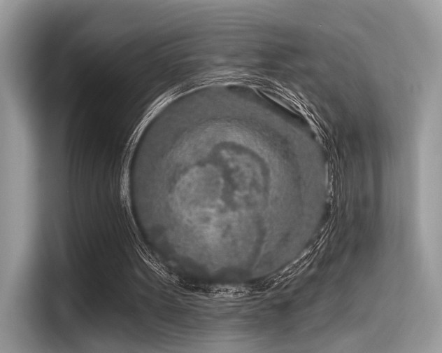 X0000115550099200911131614