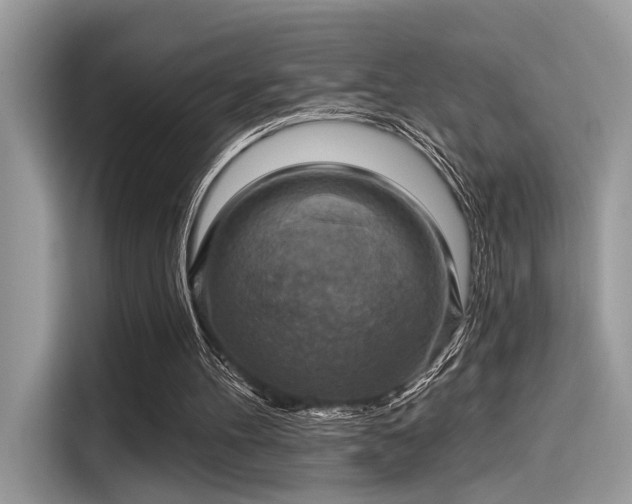 X0000115550100200911131614