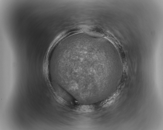 X0000115550101200911131614