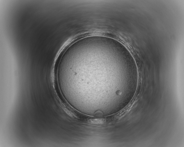 X0000115550102200911131614