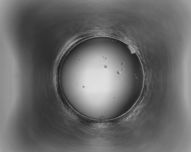 X0000115550103200911131614