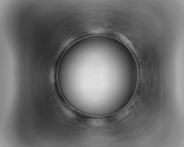 X0000115550106200911131614