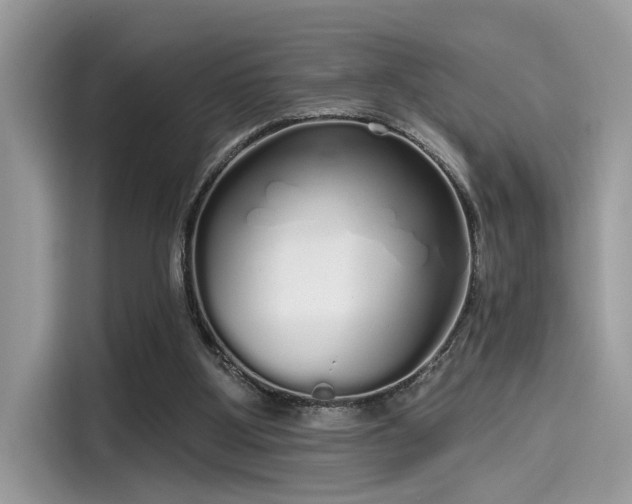 X0000115550107200911131614