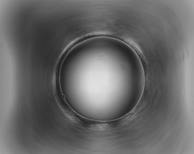 X0000115550108200911131614