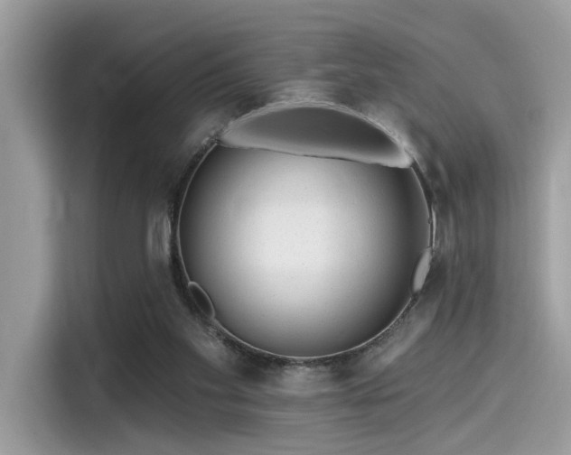 X0000115550109200911131614