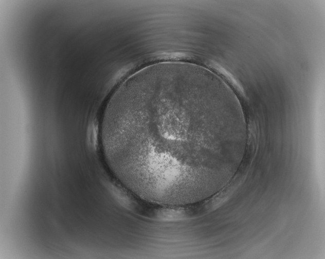 X0000115550110200911131614