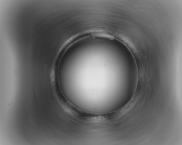 X0000115550112200911131614