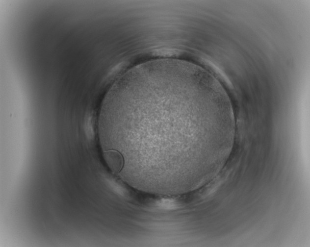 X0000115550114200911131613