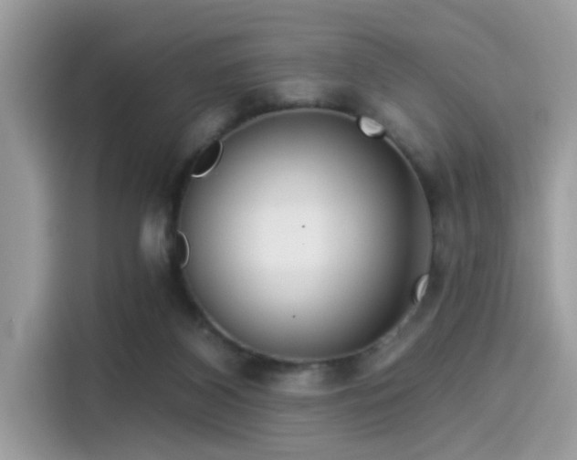 X0000115550116200911131613