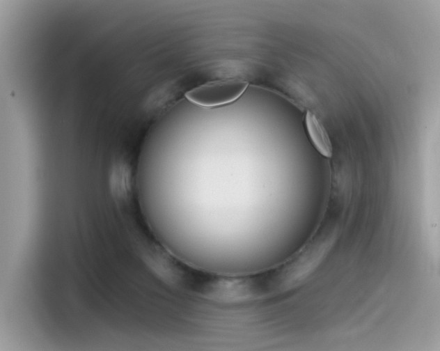 X0000115550117200911131613