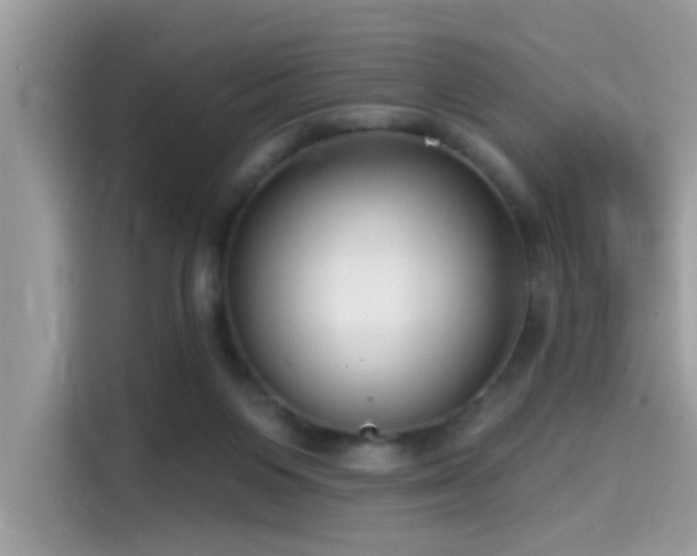 X0000115550119200911131613