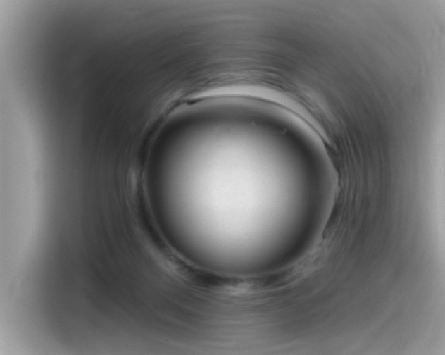 X0000115550120200911131613