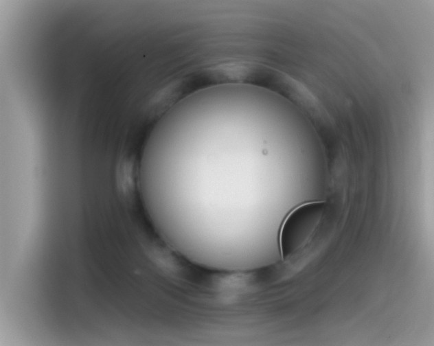 X0000115550122200911131613