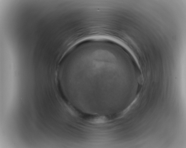 X0000115550124200911131613