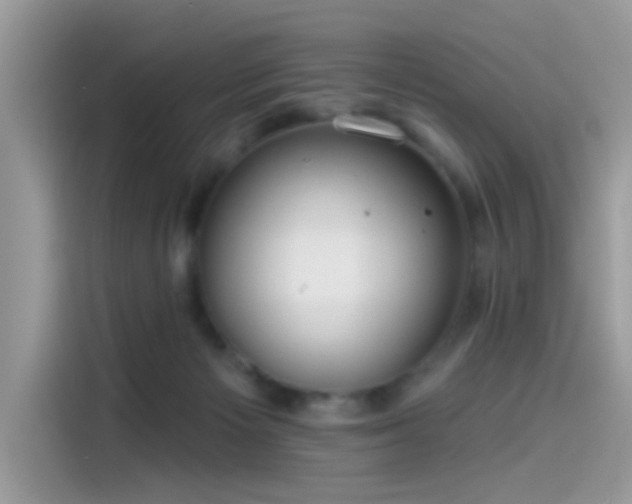 X0000115550125200911131613