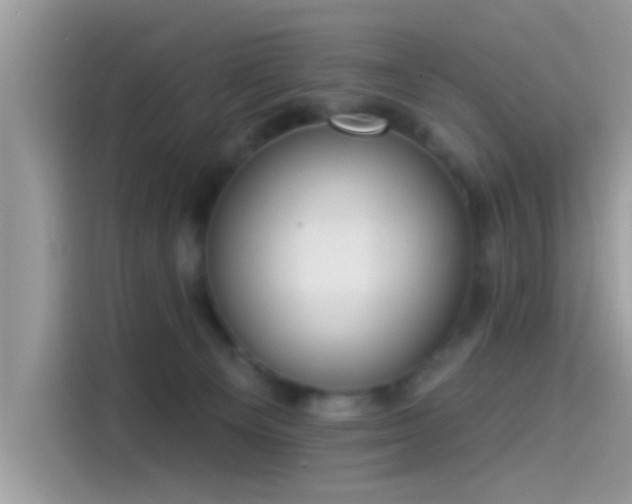 X0000115550129200911131613