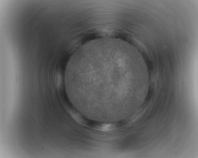 X0000115550130200911131613