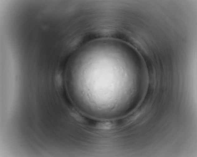 X0000115550131200911131613