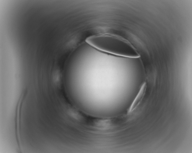 X0000115550132200911131613