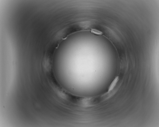 X0000115550136200911131613