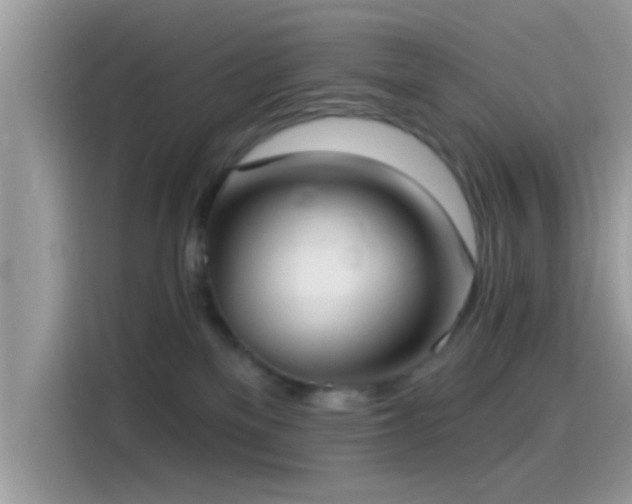 X0000115550137200911131613