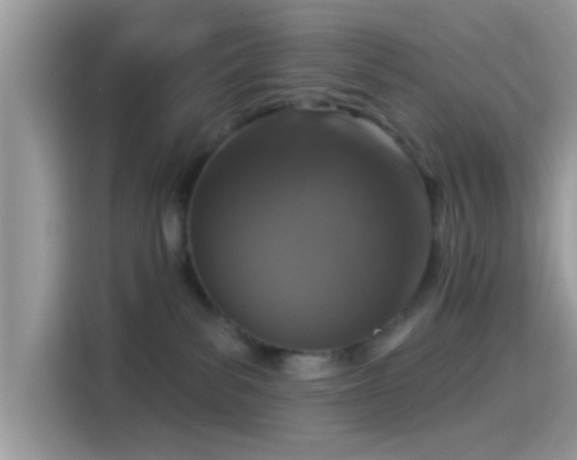 X0000115550139200911131613