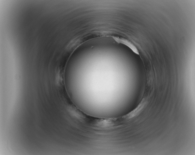 X0000115550140200911131613