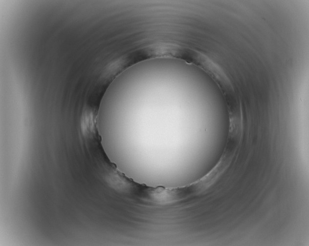 X0000115550142200911131613