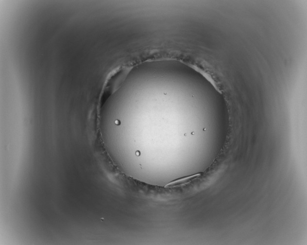 X0000115550144200911131613