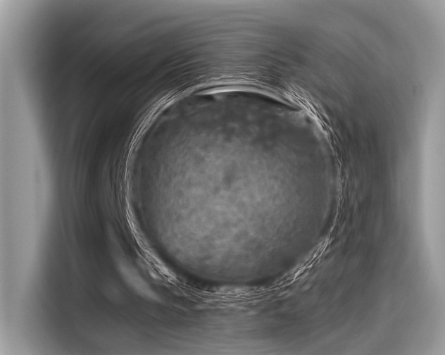 X0000115550145200911131612