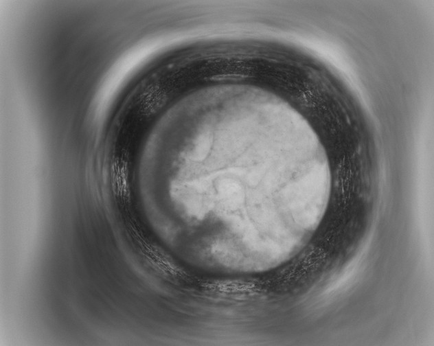 X0000115550146200911131612