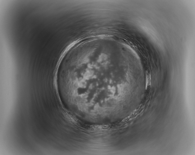 X0000115550147200911131612