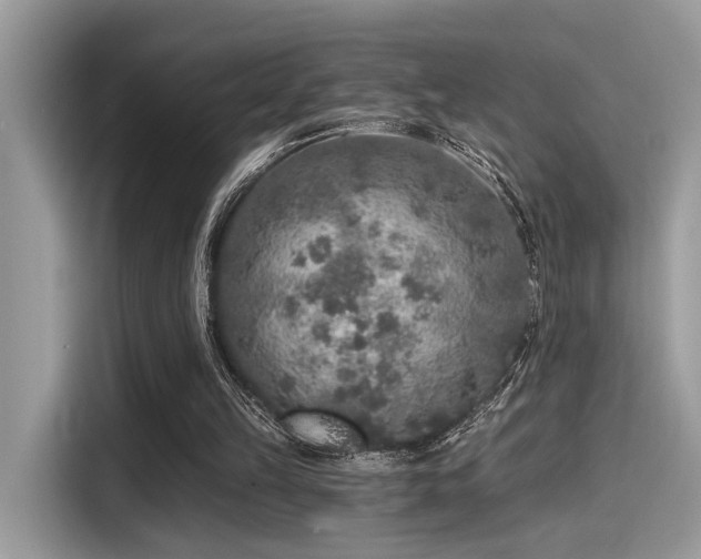 X0000115550149200911131612