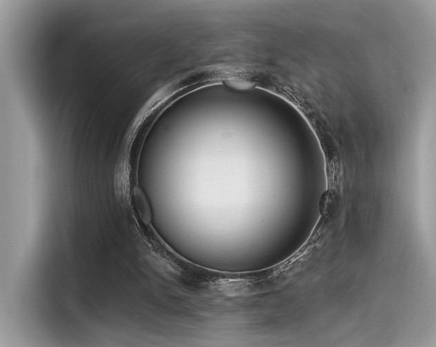 X0000115550150200911131612