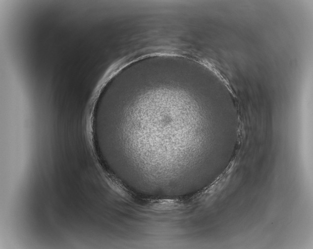 X0000115550151200911131612